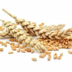 Czy mąka orkiszowa jest bez glutenu? Sprawdź, co musisz wiedzieć