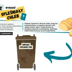 Spóźniony chleb to odpady organiczne, które można kompostować. Jeśli w Twojej okolicy są pojemniki na bioodpady, wrzuć tam spleśniały chleb.