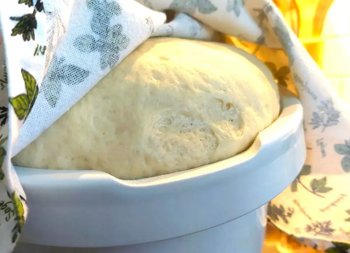 Puszyste ciasto drożdżowe rośnie pod lnianą ściereczką. Idealny czas, ile powinno rosnąć ciasto drożdżowe, to gdy podwoi objętość.