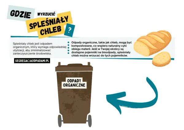 Spóźniony chleb to odpady organiczne, które można kompostować. Jeśli w Twojej okolicy są pojemniki na bioodpady, wrzuć tam spleśniały chleb.